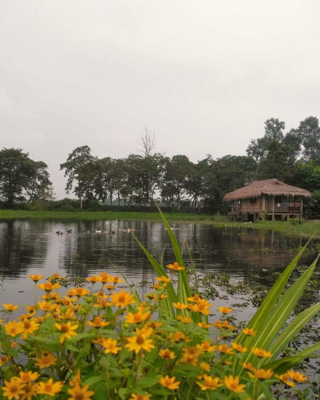 Yagdrasill Bamboo Cottage Bamungaon Екстериор снимка
